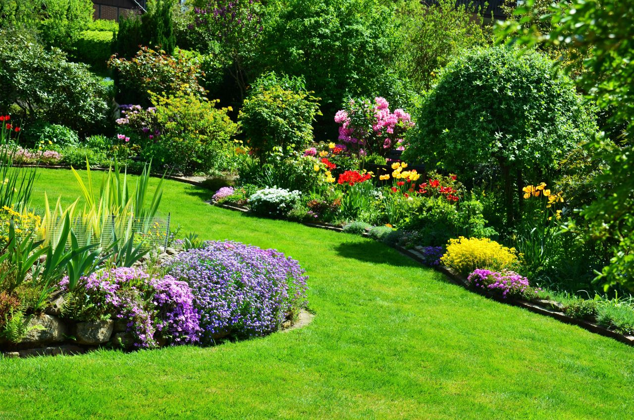 Jak dbać o roślinność wokół swojego domu?