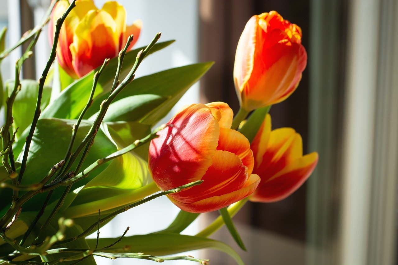 Jak cieszyć się wiecznie świeżymi kwiatami w swoim mieszkaniu?